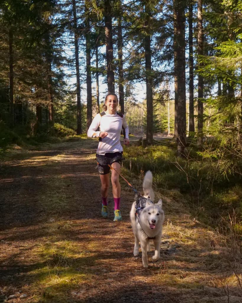 Tips för löpning med hund