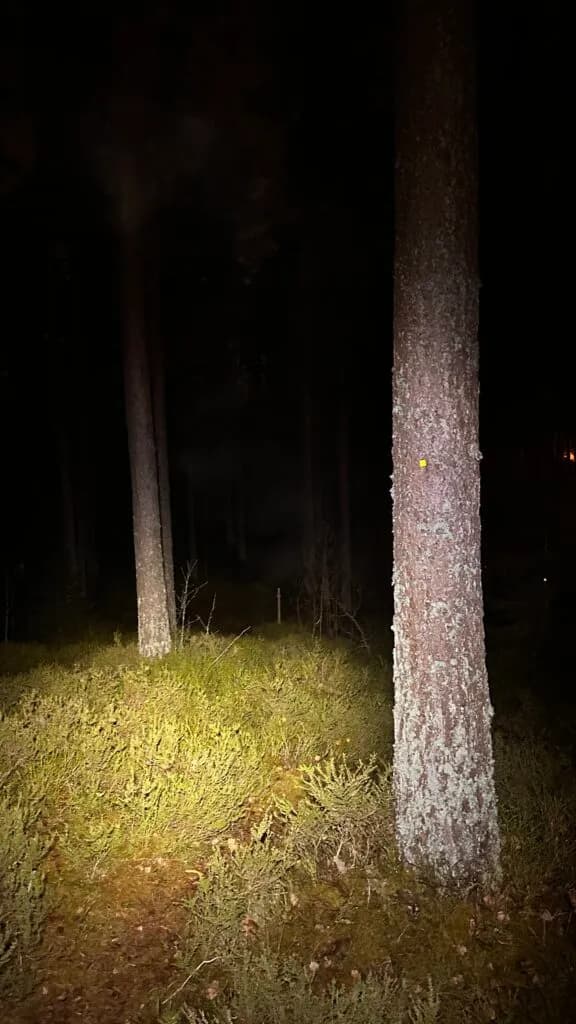 Tips för mörkerlöpning och Reflexbanor